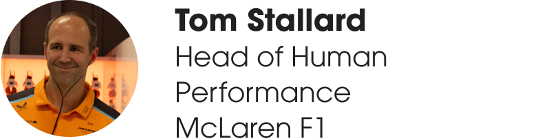 Files on mclaren tom stallard